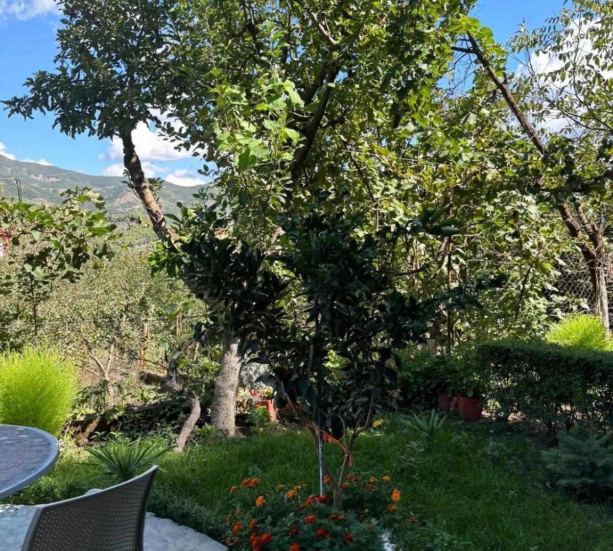 Honey Hill Villa Përmet